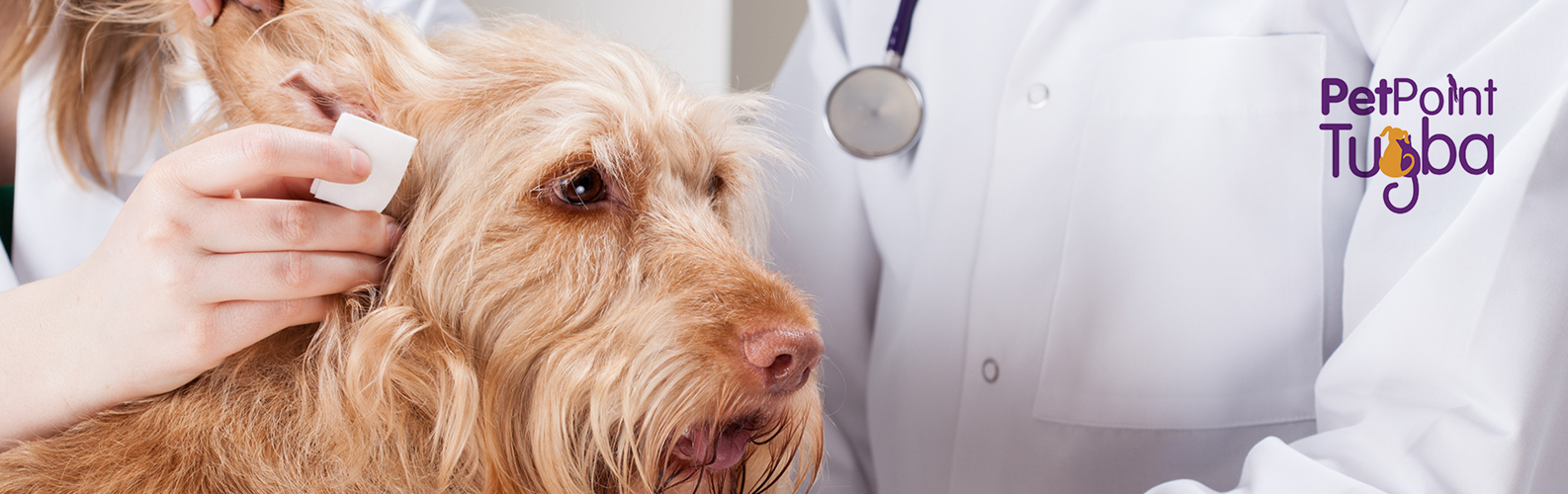 Profesyonel Bakım ve Tedavi